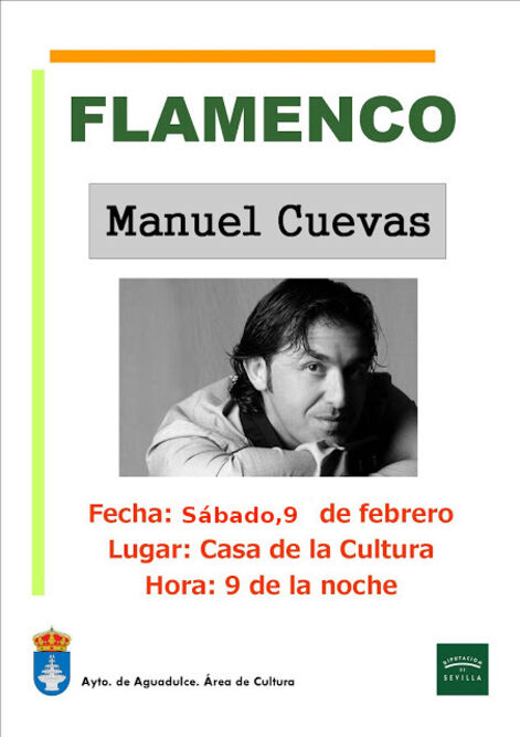 Flamenco 9