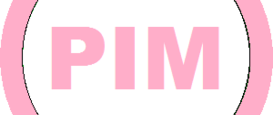 Logo_PIM.png